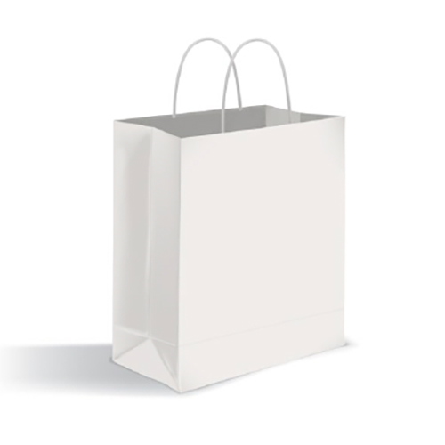Twisted Handle Paper Bag